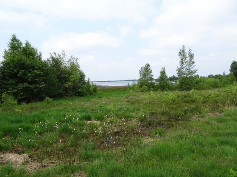 Uriah Heep - Emmen - Retropop -2018